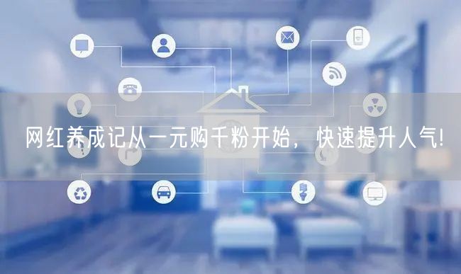 网红养成记从一元购千粉开始，快速提升人气!
