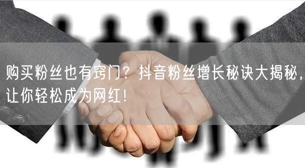 购买粉丝也有窍门？抖音粉丝增长秘诀大揭秘，让你轻松成为网红！